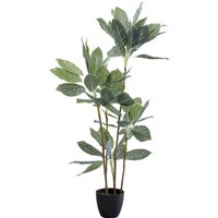 Deko Pflanze Calathea 140cm von KARE DESIGN