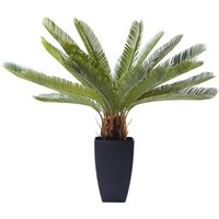 Deko Pflanze Cycas Tree 78cm von KARE DESIGN