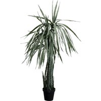 Deko Pflanze Dragon Tree 155cm von KARE DESIGN