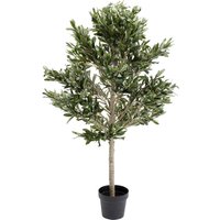 Deko Pflanze Olive Tree 120cm von KARE DESIGN