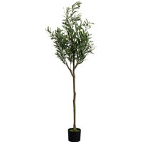 Deko Pflanze Olive Tree 150cm von KARE DESIGN