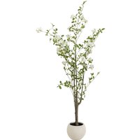 Deko Pflanze Plumbago Baum 152cm von KARE DESIGN