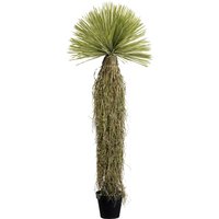 Deko Pflanze Yucca Rostrata 180cm von KARE DESIGN