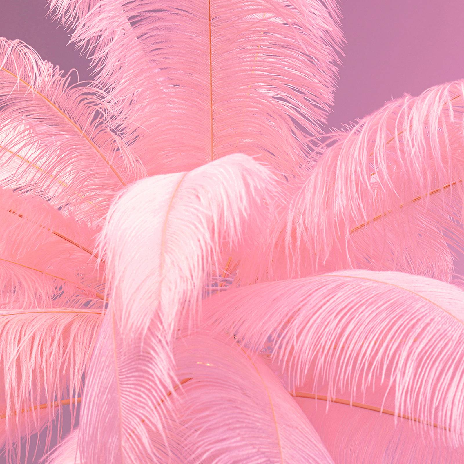 KARE Feather Palm Stehleuchte mit Federn, pink von KARE