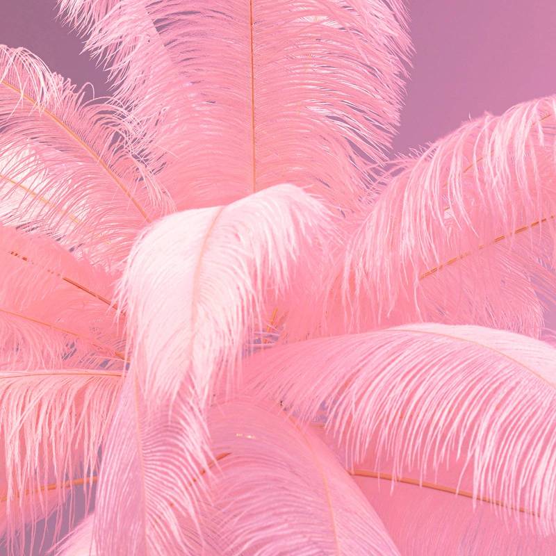 KARE Feather Palm Stehleuchte mit Federn, pink von KARE