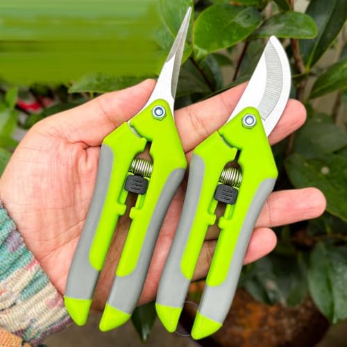 KARLOR 2er-Pack Gartenscheren,Edelstahl Rosenschere Blumenschere Pflanzenschere für die Äste- und Obsternte Baumschere Heckenscheren für die Gartenarbeit KARLOR 2er-Pack Gartenscheren,Edelstahl Rosenschere Blumenschere Pflanzenschere für die Äste- und Obsternte Baumschere Heckenscheren für die Gartenarbeit von KARLOR