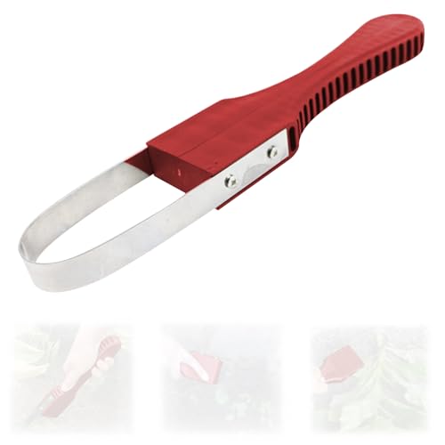 KASESSS Hand Unkrautstecher, Unkraut Entferner Gerät, Fugenkratzer mit Stiel, Fugenkratzer Unkraut, Hand Pendelhacke, Garten Zubehör, Gartenkralle für Jäten Lösen Arbeitssparender Unkrautstecher Rot von KASESSS