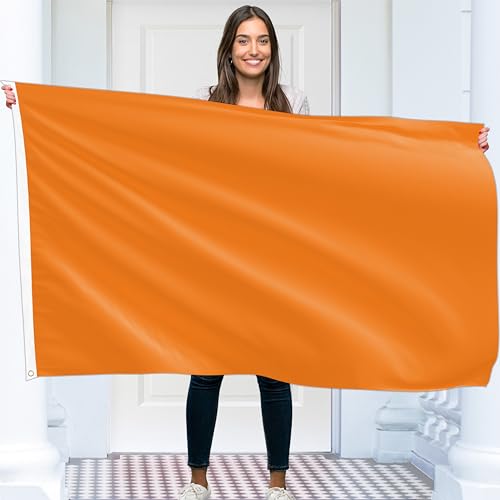 Einfarbige Orange Flagge – Schlichte Orange Fahne – Beidseitiger Druck – 90 g Polyester – Doppelnaht – 2 Messingösen, groß 90x150 cm (5 x 3 Fuß) von KASKANA