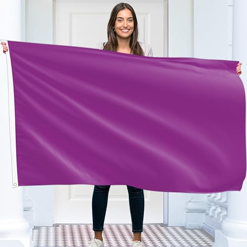 Einfarbige Violet Flagge – Schlichte Lila Fahne – Beidseitiger Druck – 90 g Polyester – Doppelnaht – 2 Messingösen, groß 90x150 cm (5 x 3 Fuß) von KASKANA