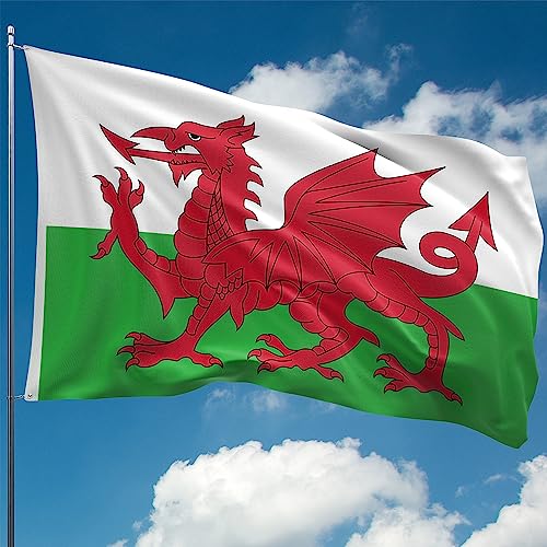 Walisische Flagge (Cymru, Wales Dragon) – 110Den dickes Polyester – Digitaldruck – Doppelnaht – 2 Messingösen, groß 1,5 m x 0,9 m von KASKANA