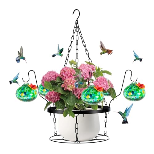 KASNLSAC Red Silicon Blume Hummingbird Feeder Hand geblasenes Glas mit einfachem Installationsdesign 2-in-1-Hänge-Metall-Pflanzerhalter enthält 6 kleine Feeder für C KASNLSAC Red Silicon Blume Hummingbird Feeder Hand geblasenes Glas mit einfachem Installationsdesign 2-in-1-Hänge-Metall-Pflanzerhalter enthält 6 kleine Feeder für C von KASNLSAC