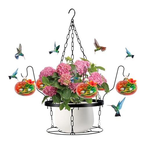 KASNLSAC Red Silicon Blume Hummingbird Feeder Hand geblasenes Glas mit einfachem Installationsdesign 2-in-1-Hänge-Metall-Pflanzerhalter enthält 6 kleine Feeder für D von KASNLSAC