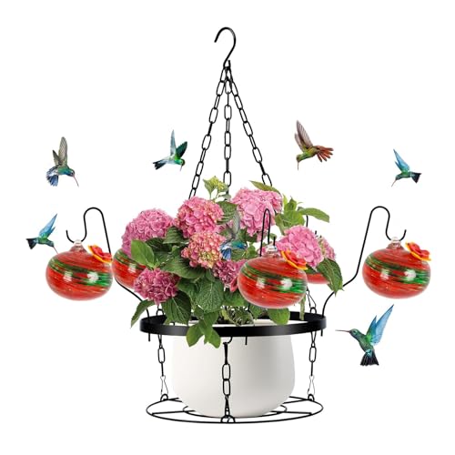KASNLSAC Red Silicon Blume Hummingbird Feeder Hand geblasenes Glas mit einfachem Installationsdesign 2-in-1-Hänge-Metall-Pflanzerhalter enthält 6 kleine Feeder für E von KASNLSAC