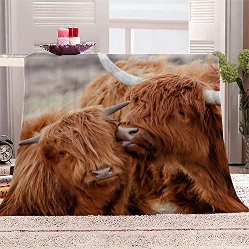 Kuscheldecke Hochlandrinder, Flauschig Weich und Warme Fleecedecke für Bett Couch, 3D Decke Hochlandrinder Flanelldecke Sofadecke Wohndecke 150x200 cm von KATATI