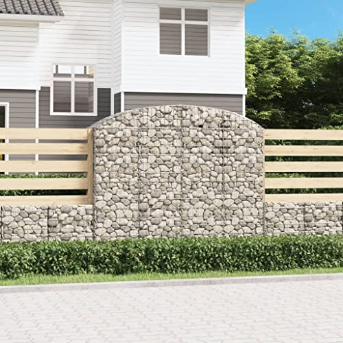 Gabimit Hochbogen 200x50x160/180 cm Verzinktes Eisen Gartenpflege von KATERYY