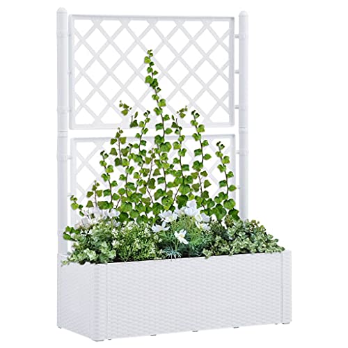 Garten-Hochbeet mit Spalier und Selbstbewässerungssystem Weiß Gartenpflege Garten-Hochbeet mit Spalier und Selbstbewässerungssystem Weiß Gartenpflege von KATERYY