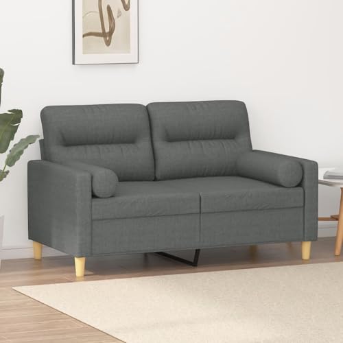 KATERYY 2-Sitzer-Sofa mit Zierkissen Dunkelgrau 120 cm Stoff Möbel Wohnzimmer von KATERYY