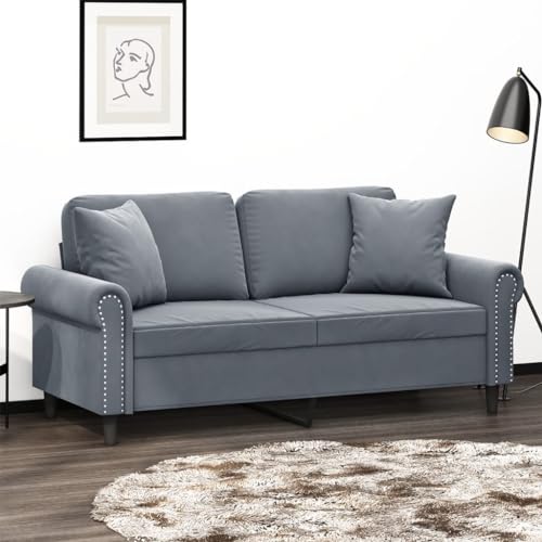 KATERYY 2-Sitzer-Sofa mit Zierkissen Dunkelgrau 140 cm Samt Möbel Wohnzimmer von KATERYY