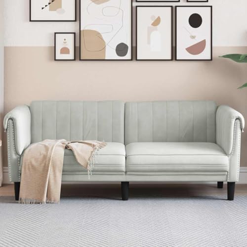 KATERYY Sofa 2-Sitzer Hellgrau Samt Möbel Wohnzimmer von KATERYY