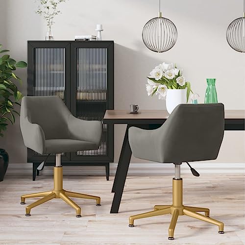 KATERYY Tisch-Stühle-Set, Stuhl, Küchen- und Esszimmerstühle, Heimdekor-Upgrade und Elegante Stühle, stabile, robuste Struktur(Color:Dunkelgrau 2 STK) von KATERYY