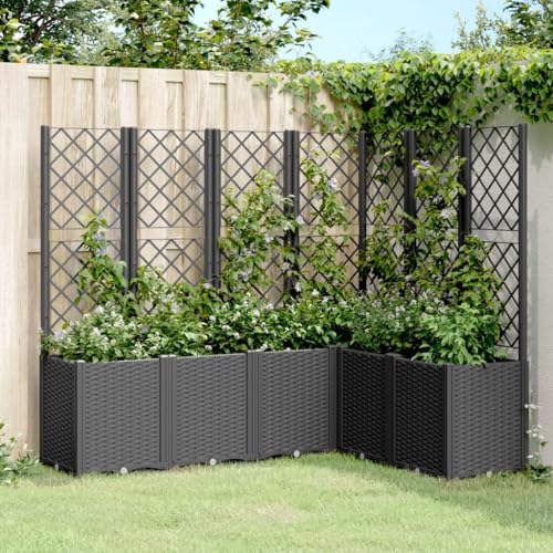 Pflanzkübel mit Rankgitter Schwarz 160x120x140 cm PP Gartenpflege von KATERYY