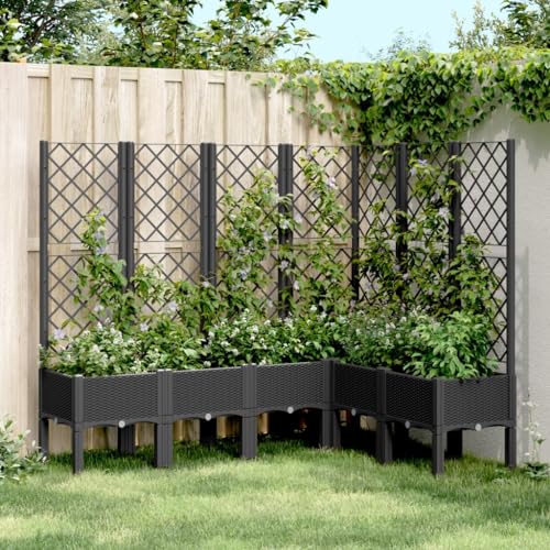 Pflanzkübel mit Rankgitter Schwarz 160x120x142 cm PP Gartenpflege von KATERYY