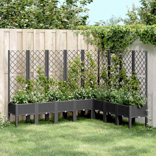 Pflanzkübel mit Rankgitter Schwarz 200x160x142 cm PP Gartenpflege Pflanzkübel mit Rankgitter Schwarz 200x160x142 cm PP Gartenpflege von KATERYY