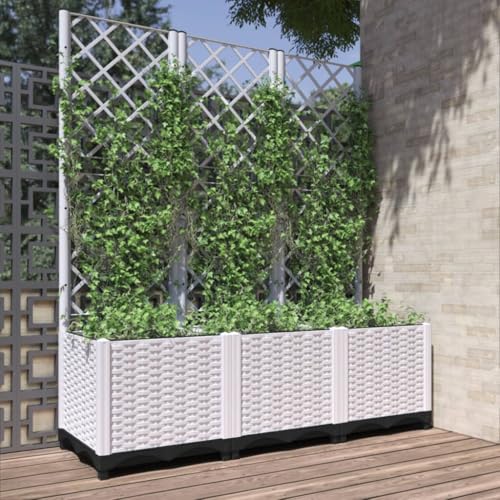 Pflanzkübel mit Rankgitter Weiß 120x40x136 cm PP Gartenpflege Pflanzkübel mit Rankgitter Weiß 120x40x136 cm PP Gartenpflege von KATERYY