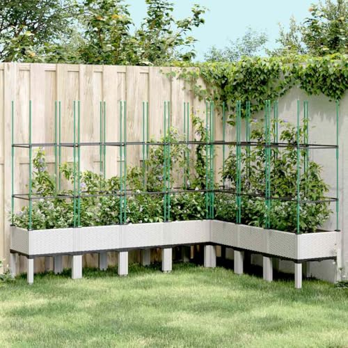 Pflanzkübel mit Rankgitter Weiß 200x160x142 Gartenpflege von KATERYY