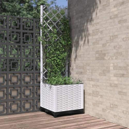 Pflanzkübel mit Rankgitter Weiß 40x40x136 cm PP Gartenpflege Pflanzkübel mit Rankgitter Weiß 40x40x136 cm PP Gartenpflege von KATERYY