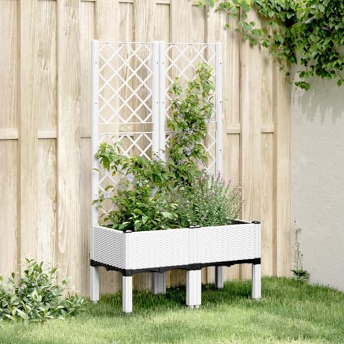 Pflanzkübel mit Rankgitter Weiß 80x40x142 cm PP Gartenpflege Pflanzkübel mit Rankgitter Weiß 80x40x142 cm PP Gartenpflege von KATERYY