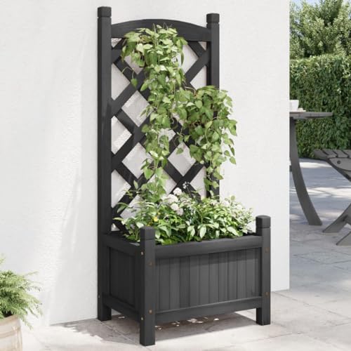 Pflanzkübel mit Spalier Schwarz Massivholz Tanne Gartenpflege von KATERYY