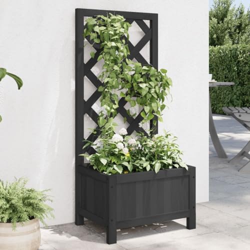 Pflanzkübel mit Spalier Schwarz Massivholz Tanne Gartenpflege von KATERYY