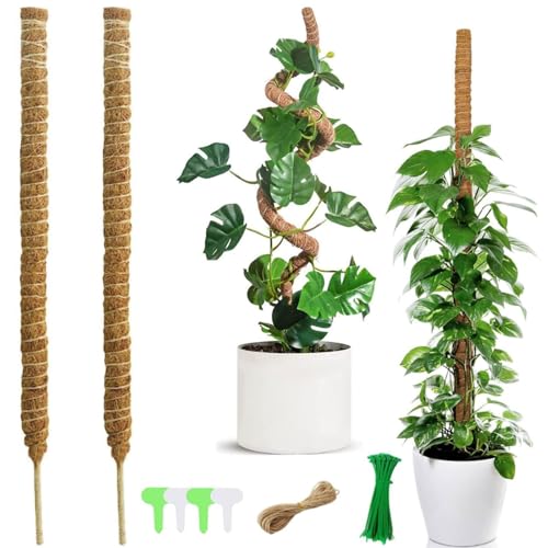 KATLKIU 2 Stück Totem 120 cm aus Kokosfaser für Kletterpflanzen, ausziehbar mit 4 Etiketten, 40 Kabelbinder und 2 Seile à 10 m für Monstera, Pothos, Philodendron von KATLKIU