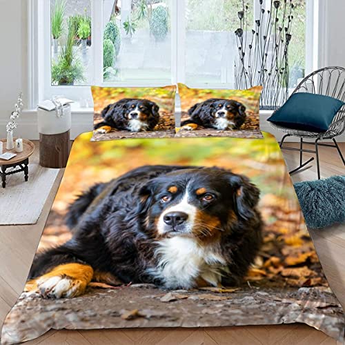 Kinder Bettwäsche 135x200 Berner Sennenhund Bettbezüge Set 3Teilig mit Reißverschluss Weich Mikrofaser Bettbezug 3D mit 2 Kissenbezüge 80×80 Haustier Süß Bettwäsche Jungen und Mädchen von KAVITO