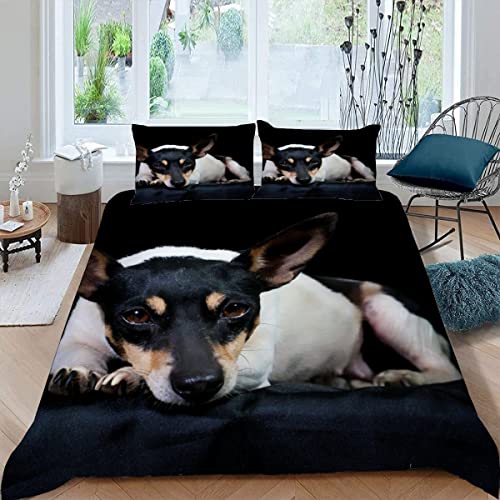 Kinder Bettwäsche 135x200 Jack Russell Terrier Bettbezüge Set 3Teilig mit Reißverschluss Weich Mikrofaser Bettbezug 3D mit 2 Kissenbezüge 80×80 Haustier Süß Bettwäsche Jungen und Mädchen von KAVITO