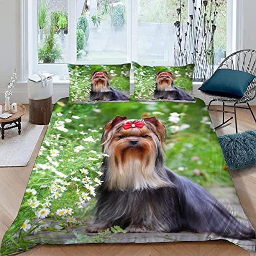 Kinder Bettwäsche 135x200 Yorkshire-Terrier Bettbezüge Set 3Teilig mit Reißverschluss Weich Mikrofaser Bettbezug 3D mit 2 Kissenbezüge 80×80 Haustier Süß Bettwäsche Jungen und Mädchen von KAVITO