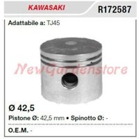 Kolbenbolzensegmente KAWASAKI Heckenschere TJ45 172587 von KAWASAKI POWER TOOLS
