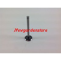 ORIGINAL Rasentraktor Motorventil KAWASAKI FH531V 12005-7003 von KAWASAKI POWER TOOLS