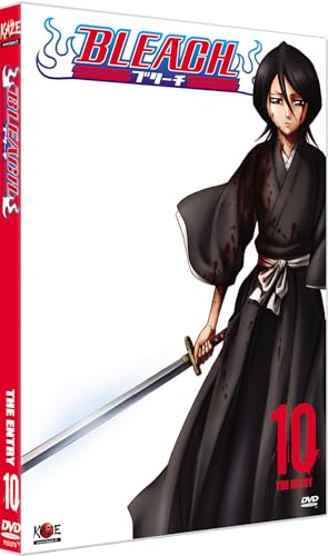 Bleach Vol. 10 von Kaze