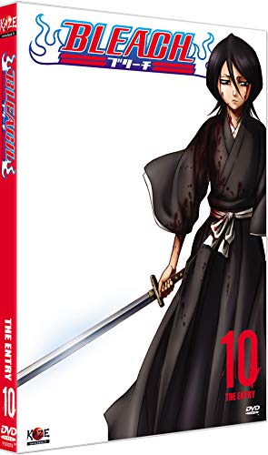 Bleach Vol. 10 von Kaze