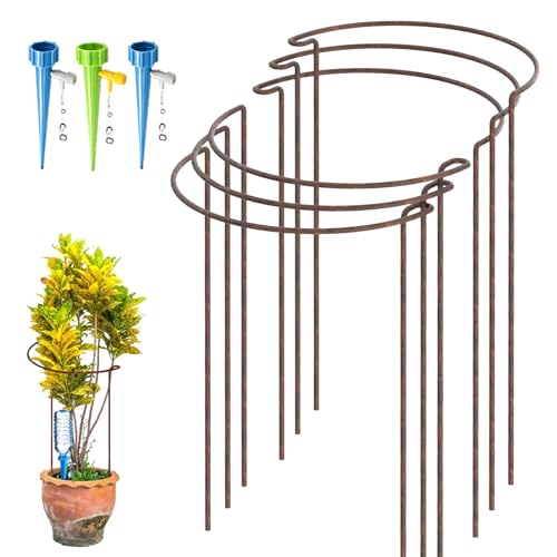 KAZITOO 6 Stück 40cm rostige Pflanze Stützpfeile, natürliche Rost Halbrunde Blume Unterstützung mit 3 Selbst Bewässerung Spikes, rostige Metall Vernetzung Garten Grenze für Pfingstrosen, Hortensie KAZITOO 6 Stück 40cm rostige Pflanze Stützpfeile, natürliche Rost Halbrunde Blume Unterstützung mit 3 Selbst Bewässerung Spikes, rostige Metall Vernetzung Garten Grenze für Pfingstrosen, Hortensie von KAZITOO