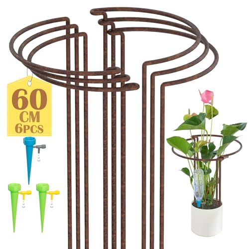 KAZITOO 6 Stück Große 60cm hohe Rostige Bogen-Pflanzenstütze, halbrund Rost-Blumenstütz-Ringkäfig-Rahmen mit 3 selbstbewässernden Spikes, Gartenumrandung für Pfingstrosen, Hortensien(60x30cm) von KAZITOO