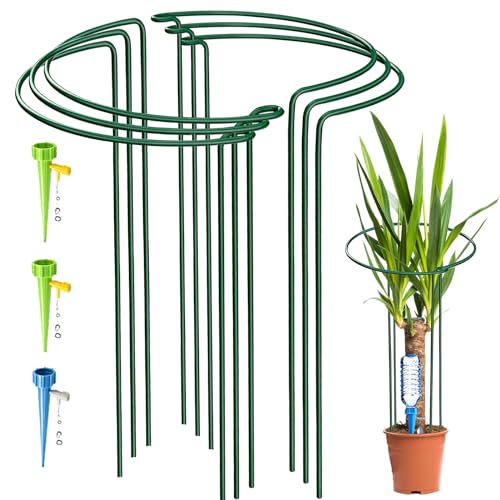 KAZITOO 6 Stück große 60cm hohe Bogen Pflanze Stützpfähle, 4mm starker Metallgarten unterstützt grüne halbrunde Blume Reifen mit 3 Selbst Gießspitzen für Pfingstrosen, Hortensien, Monstera(60x30cm) von KAZITOO