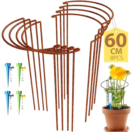KAZITOO 8 Stück Große 60cm hohe Rostige Bogen-Pflanzenstütze, halbrund Rost-Blumenstütz-Ringkäfig-Rahmen mit 4 selbstbewässernden Spikes, Gartenumrandung für Pfingstrosen, Hortensien(60x30cm) von KAZITOO