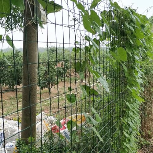 KAnduo Garten Maschendraht Grüne Drahtgeflechtrollen, PVC-beschichteter verzinkter Eisendraht, geeignet for Gemüsegärten im Freien(1.2x30m) von KAnduo