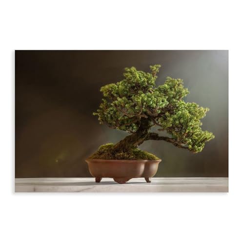 KBGDFSDF Minimalistisches Bonsai-Kunstposter auf Leinwand, Poster, Wandkunstdruck, Bild, Gemälde, 30 x 45 cm KBGDFSDF Minimalistisches Bonsai-Kunstposter auf Leinwand, Poster, Wandkunstdruck, Bild, Gemälde, 30 x 45 cm von KBGDFSDF