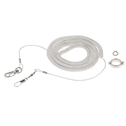 KBOLAE Elastisches Papageien-Fußkettchen, Haustier-Training, 10 m Seil und Größe 12 Fußkettchen, zufällige Farbe KBOLAE Elastisches Papageien-Fußkettchen, Haustier-Training, 10 m Seil und Größe 12 Fußkettchen, zufällige Farbe von KBOLAE