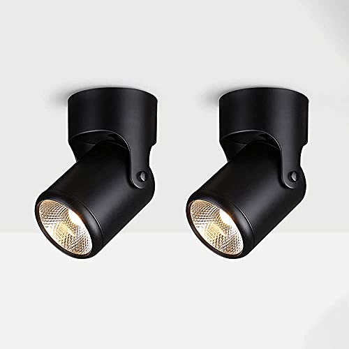 KCHSRKHXC Spotlight, 20 W LED-Deckenleuchte, Spotlight, dimmbar, Inder von KCHSRKHXC