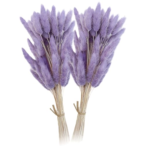 120pcs Pampas Grasdekor 19.7 Lavendel getrocknete Pampas Grass Bunny Tails getrocknete Blumen von KDAMGOQE